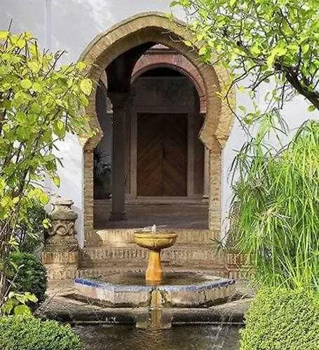 Iv Morales & Arnal Ronda